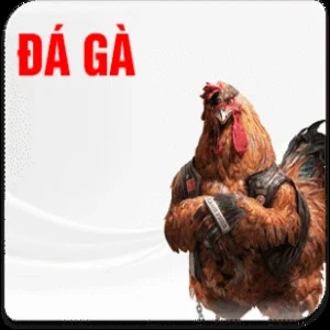 đá gà