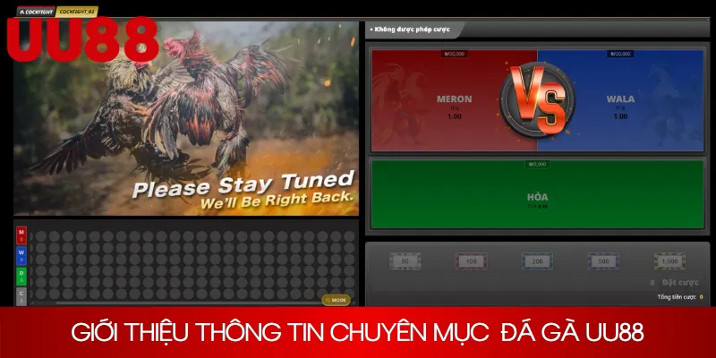 Giới thiệu thông tin chuyên mục giải trí đá gà UU88 cơ bản