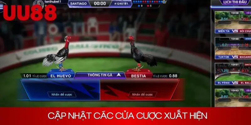 Quy định về luật chơi trực tiếp đá gà bạn nhất định phải biết