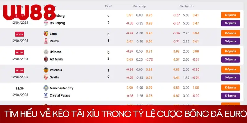 Tìm hiểu về kèo tài xỉu trong tỷ lệ cược bóng đá Euro