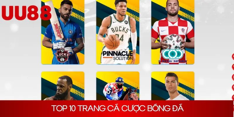 Top 10 Trang Cá Cược Bóng Đá Uy Tín, Ăn Khách Nhất 2025